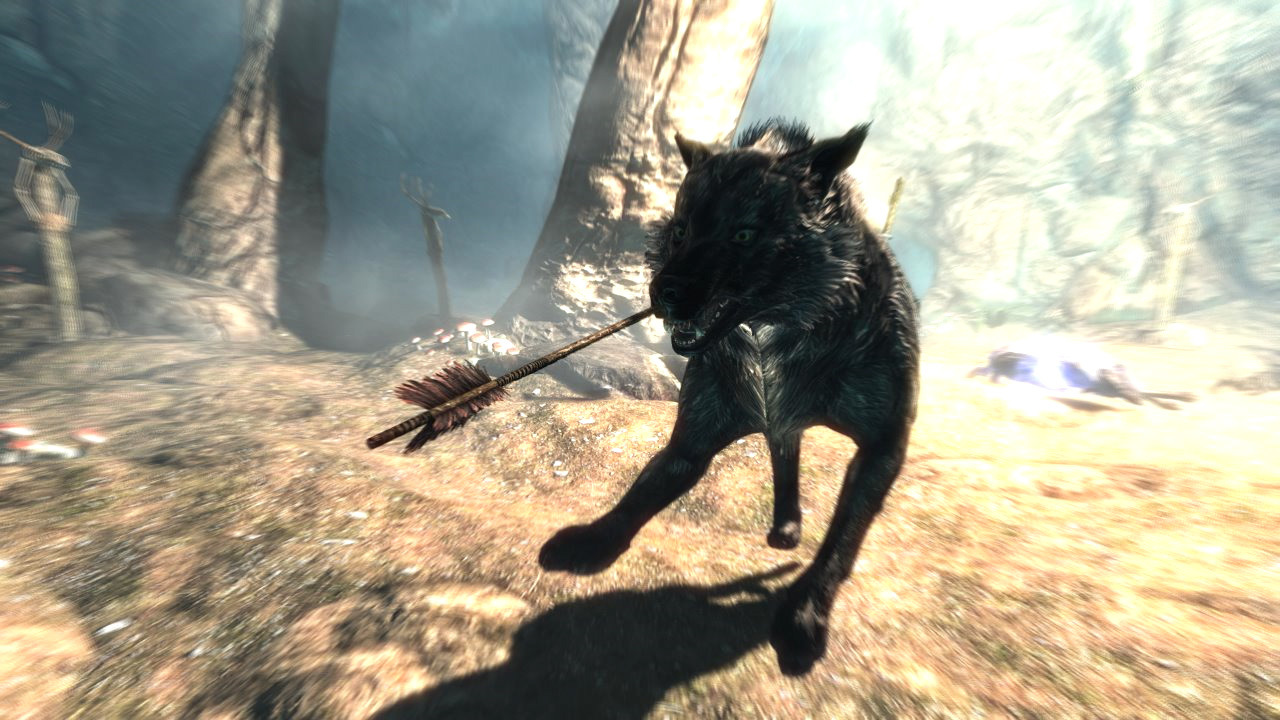 2nd_pine_wolf