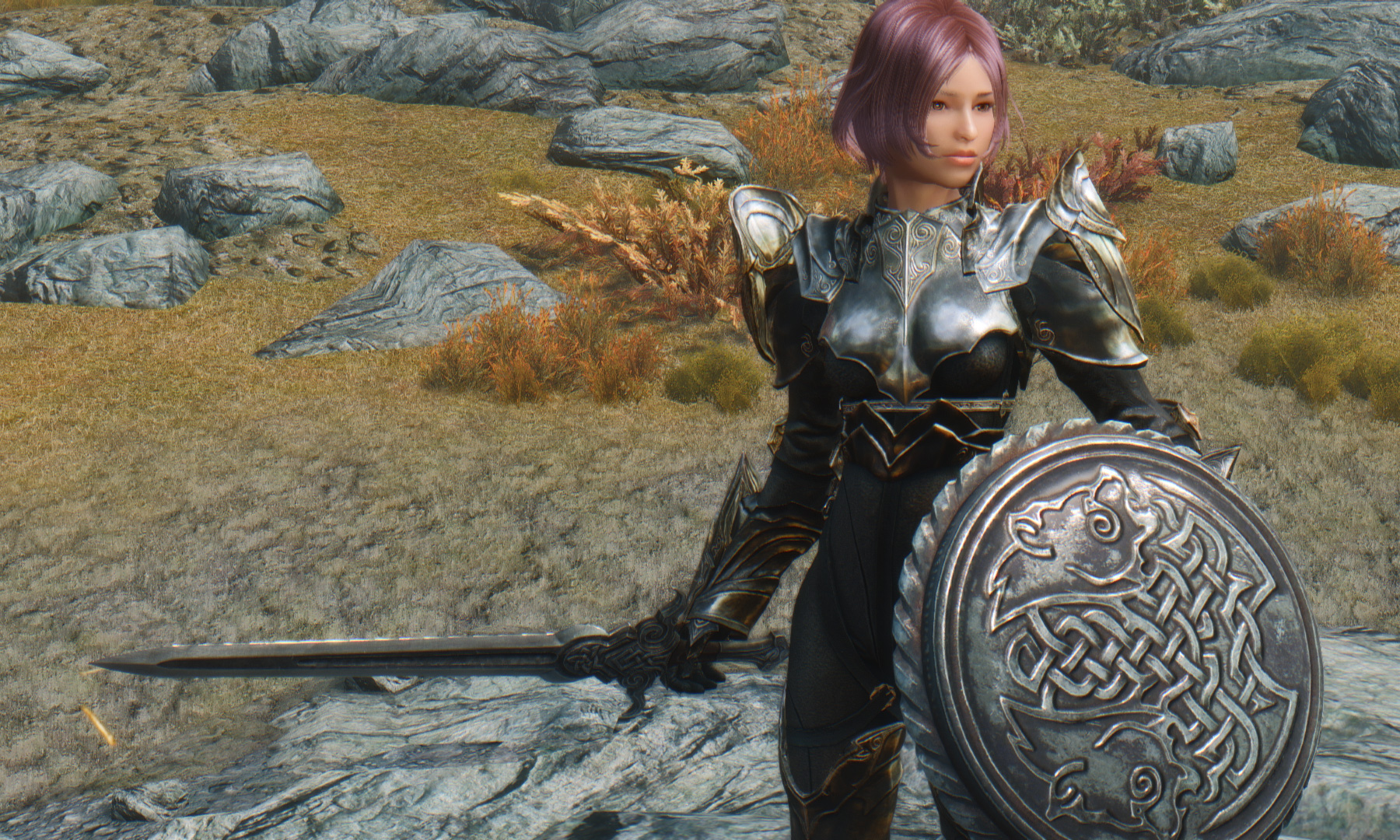 mod_w_scha02