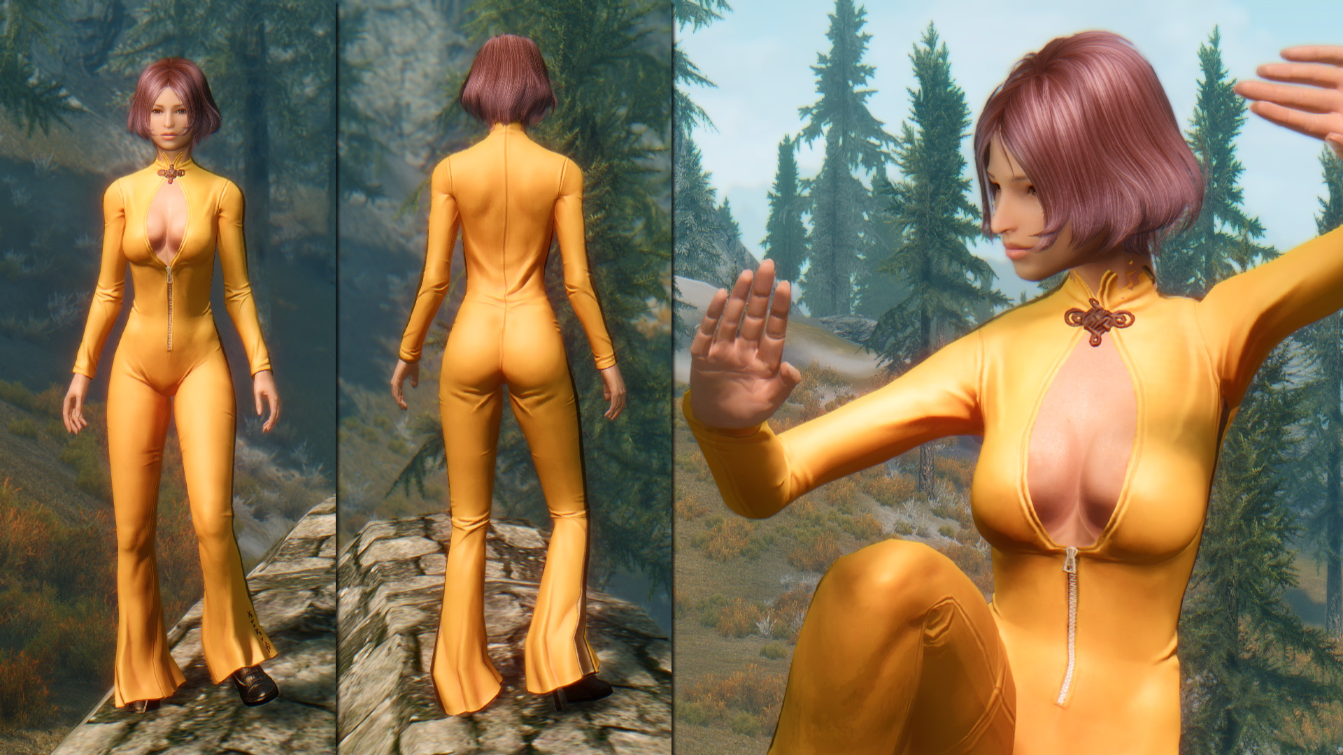 mod_a_foxc06b
