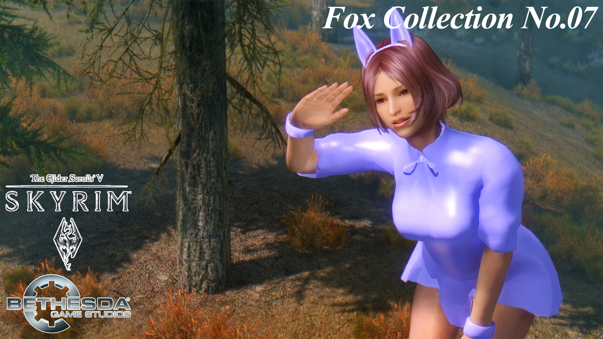 mod_a_foxc07a