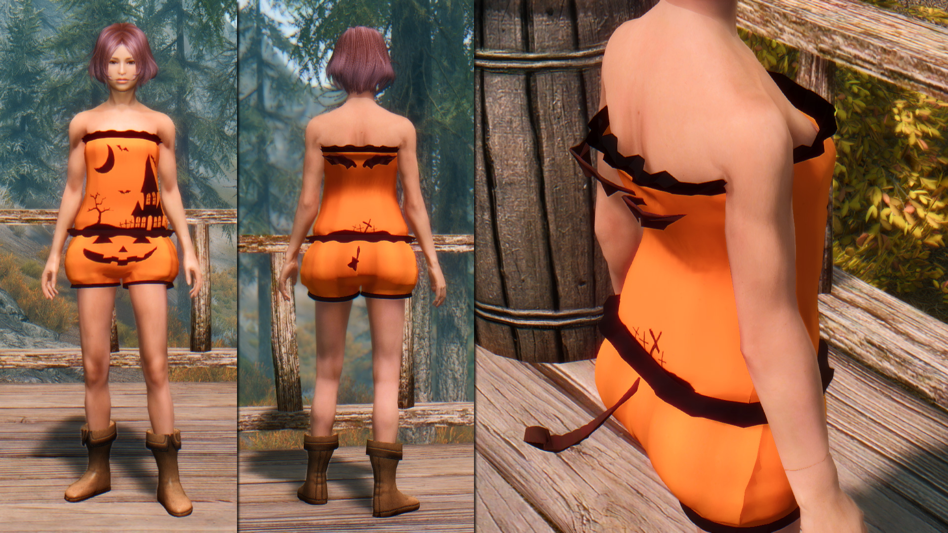 mod_a_foxc_hw_b