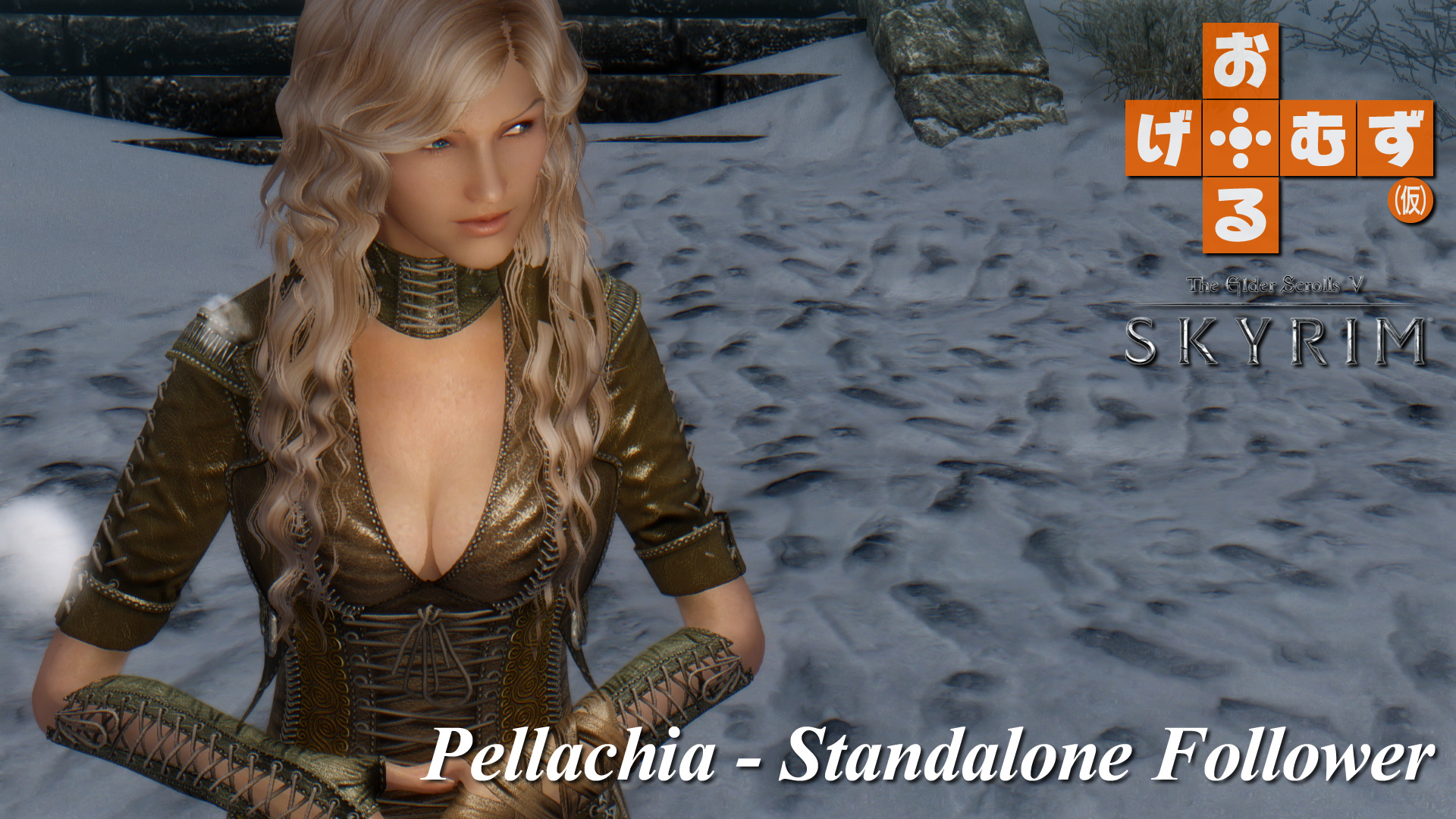mod_f_pellachia