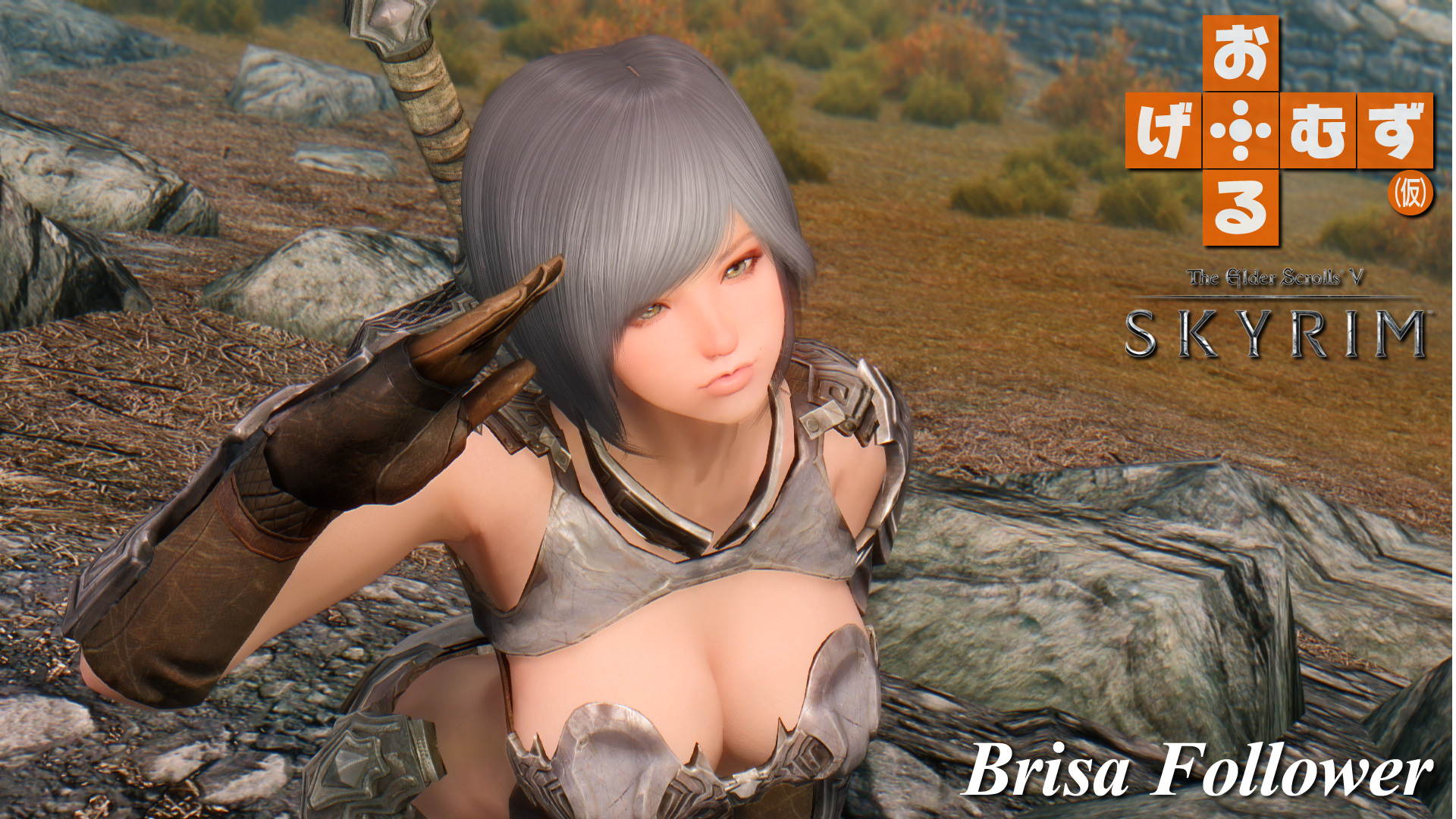 mod_f_brisa01