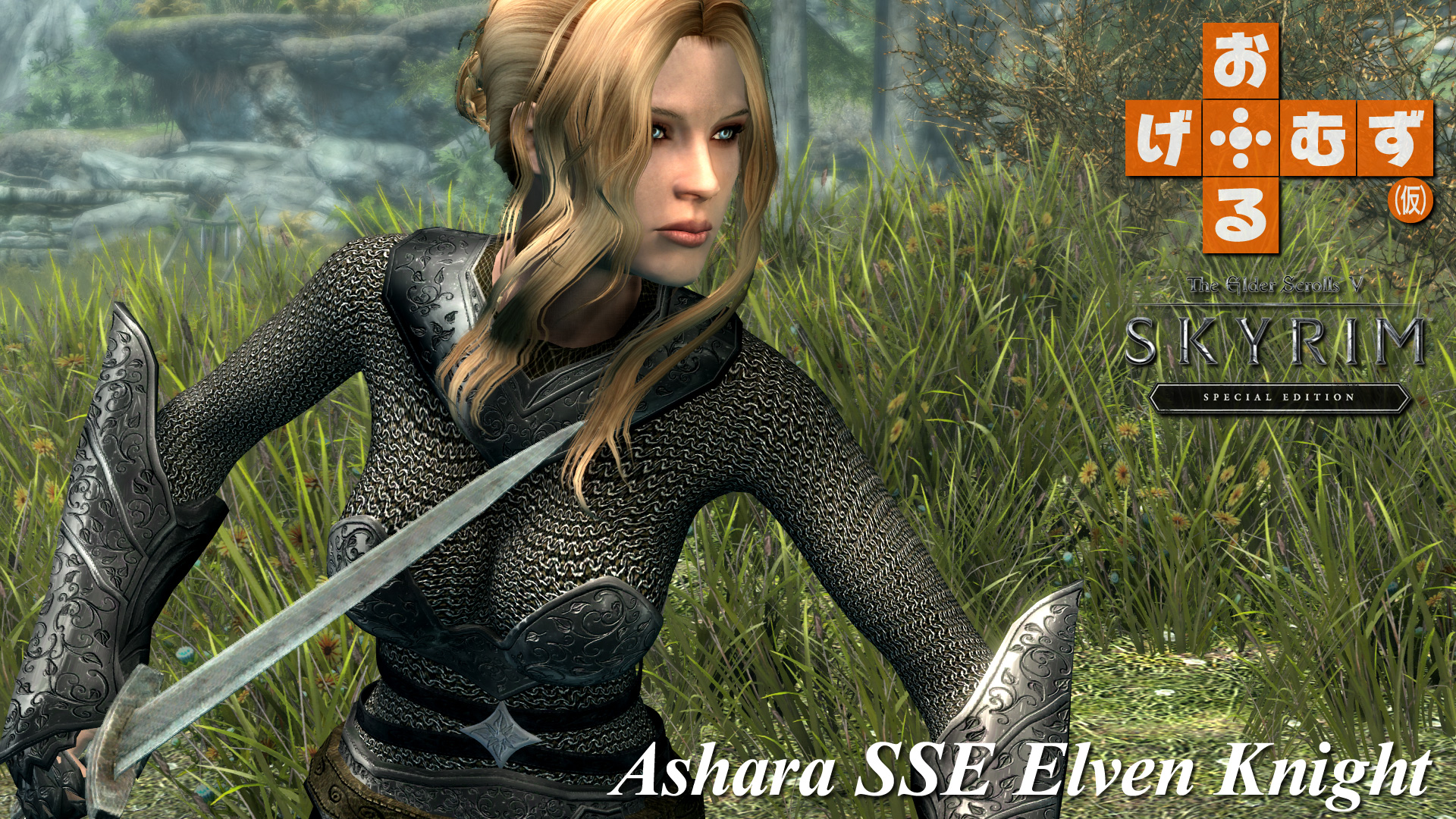 mod_a_elvenknight01