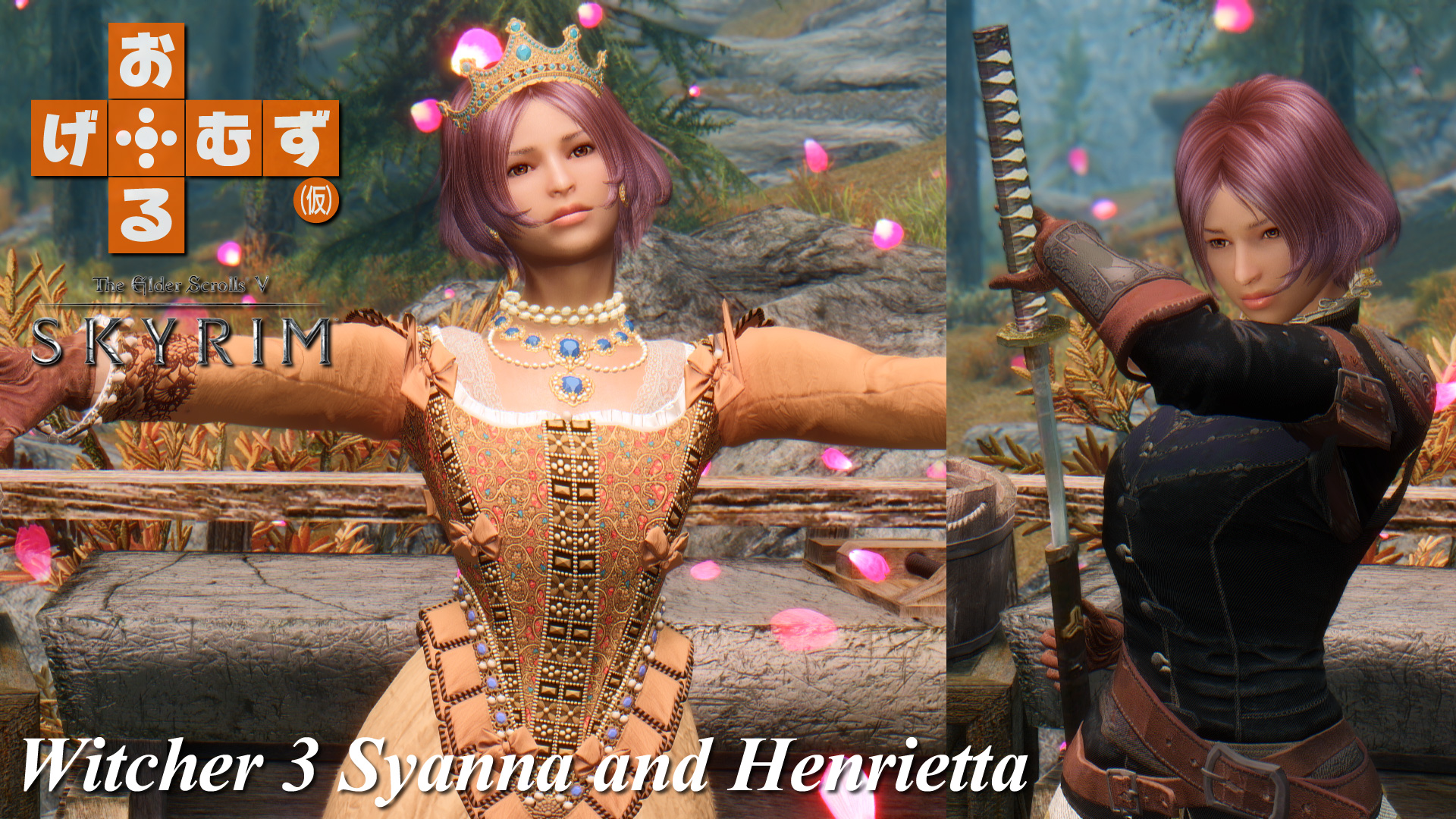 mod_a_witcher3sh01