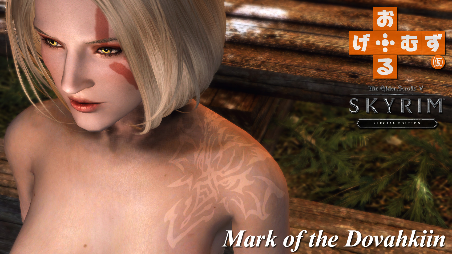mod_a_mark_dovahkiin01