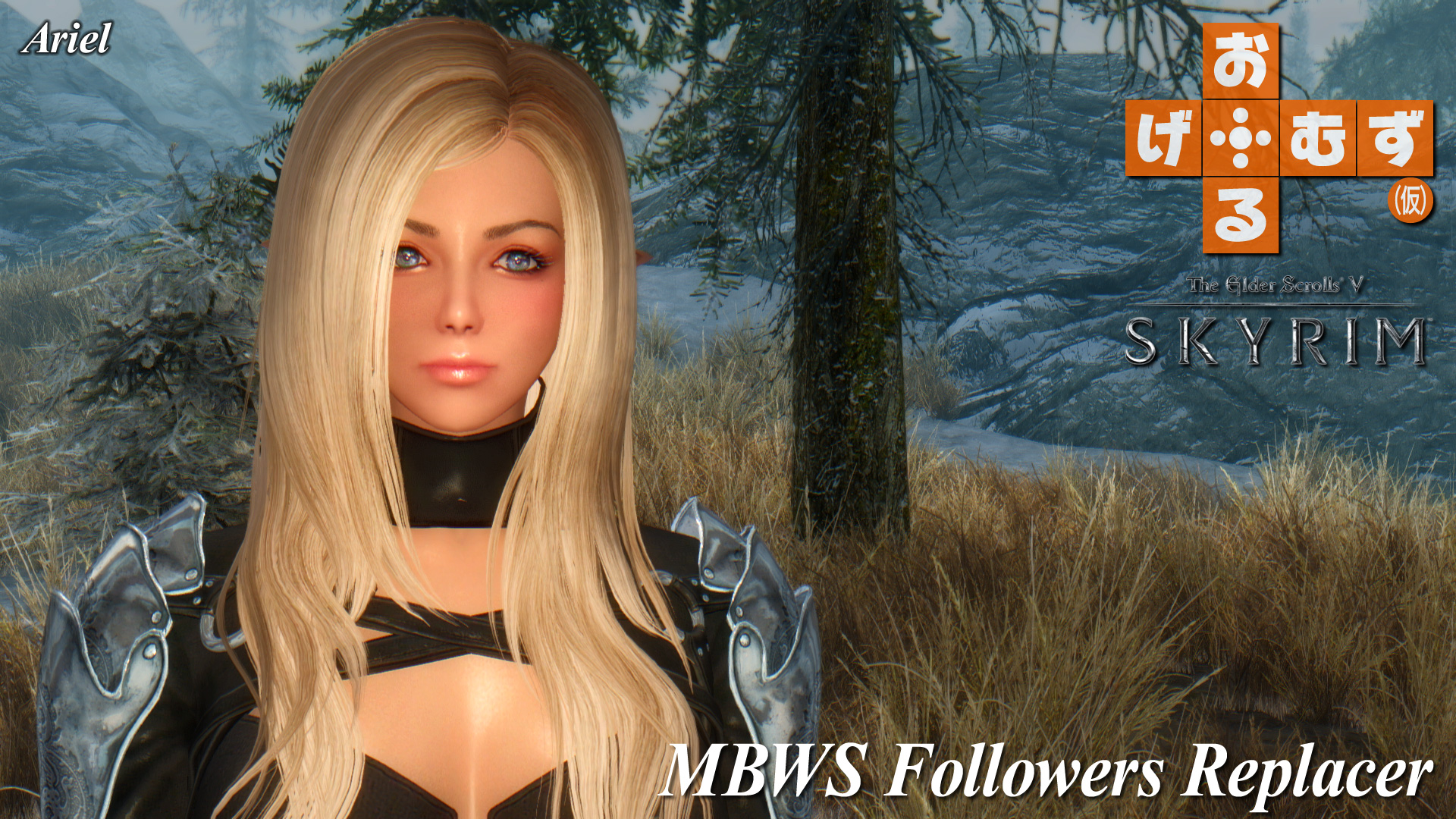 mod_f_mbws_fr01