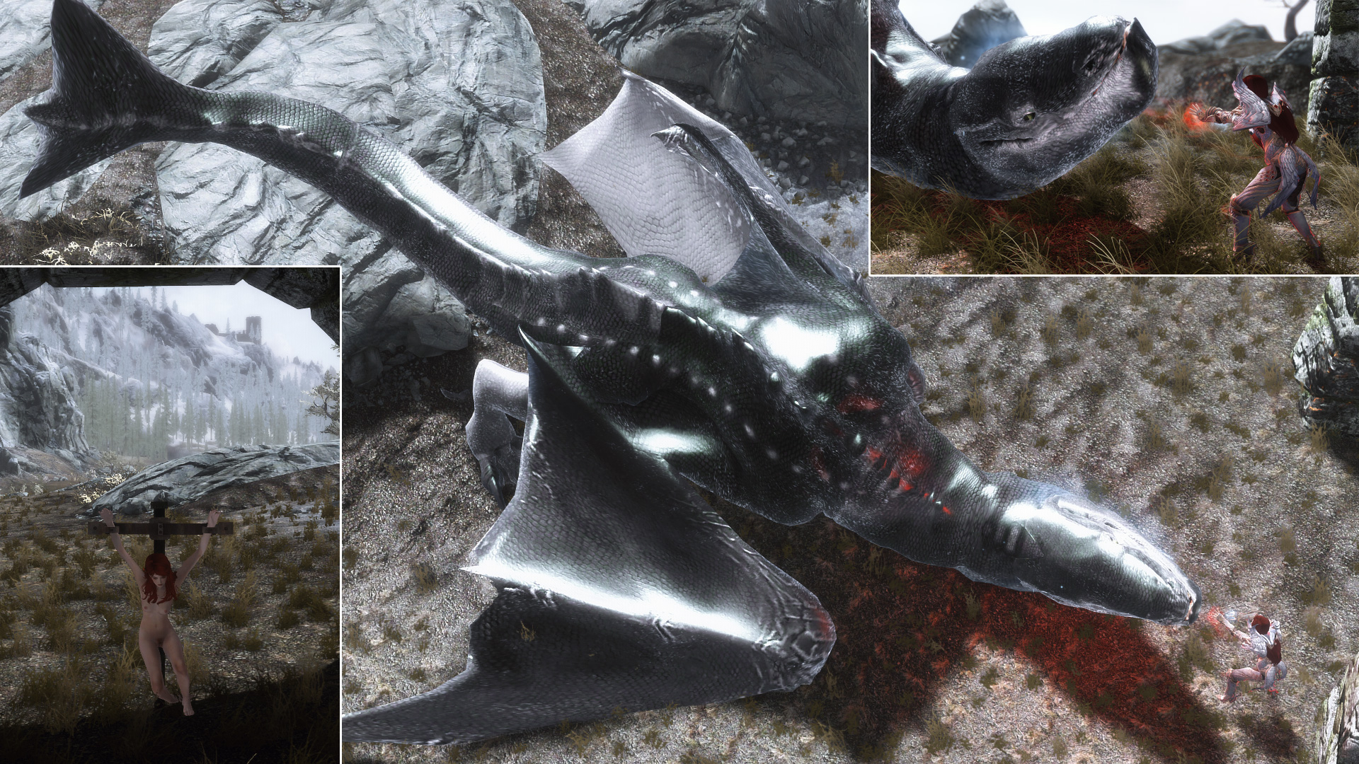 mod_f_sse-andromeda03