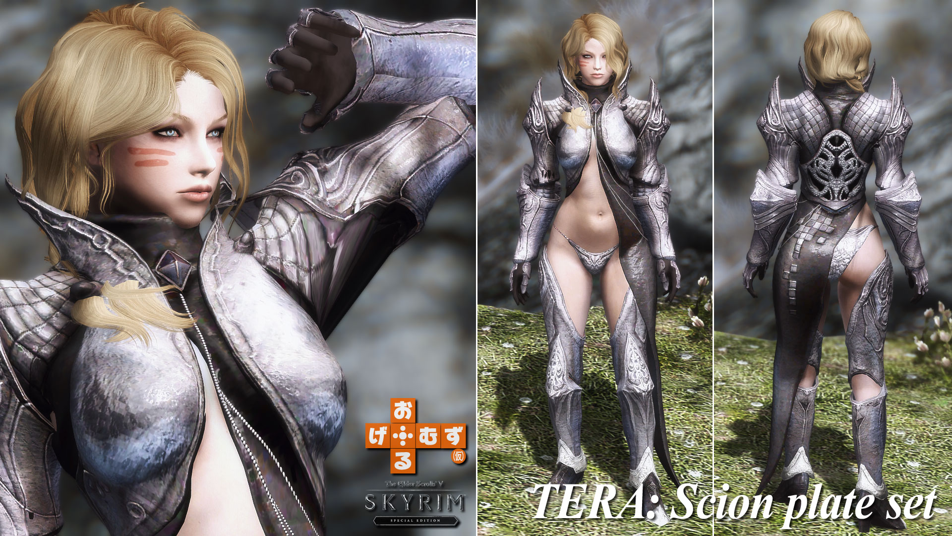 tera_ScionPlate-1