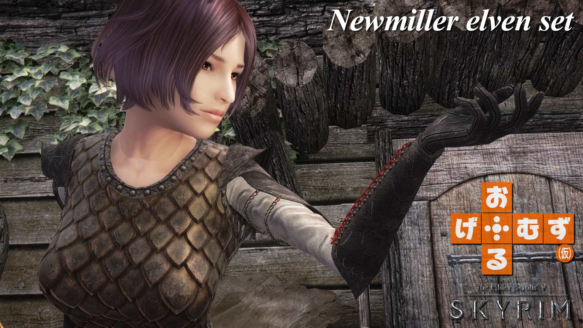 mod_a_NewmillerElven01