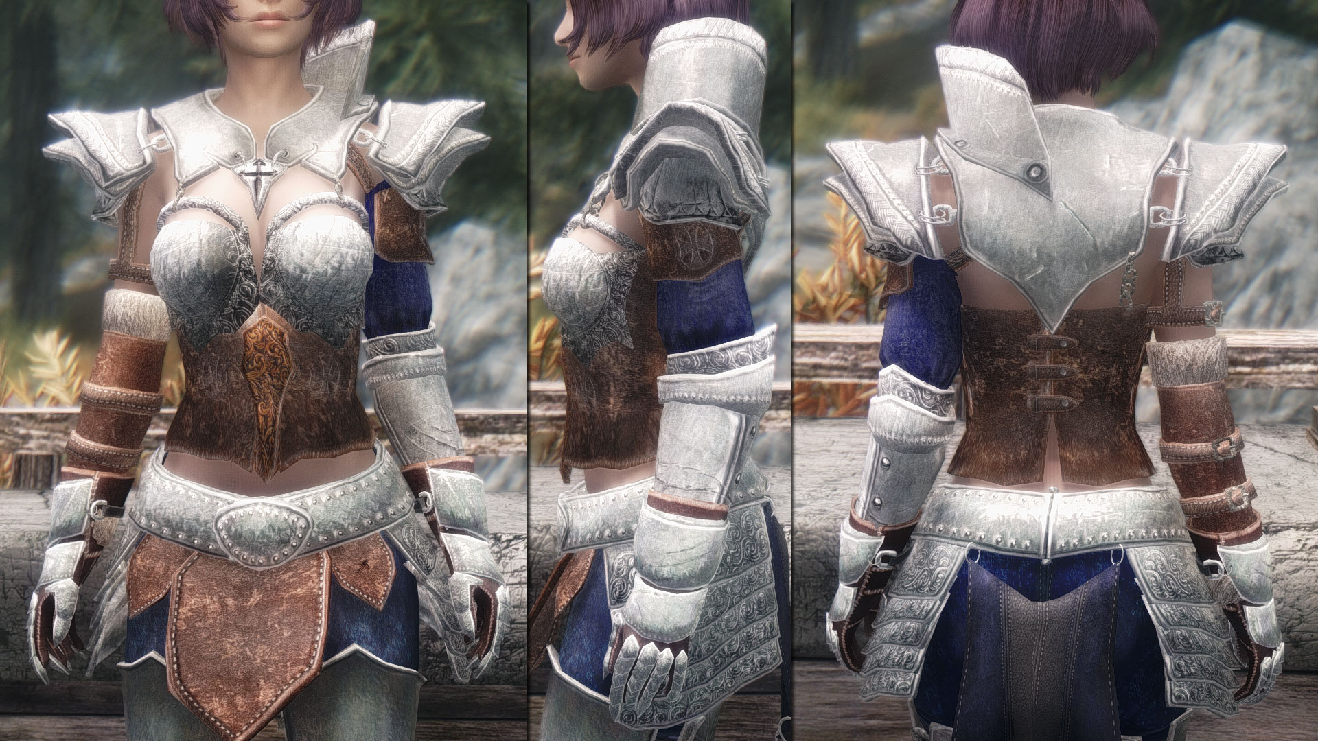 mod_a_VoxArgus02