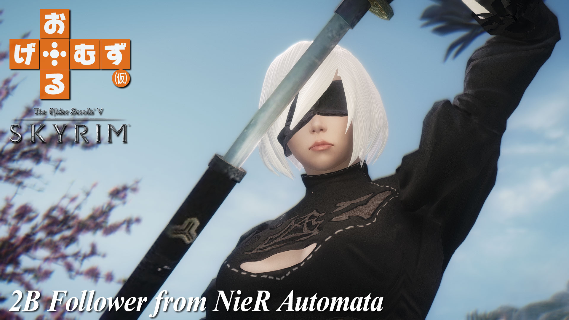 mod_f_NieR-2B01