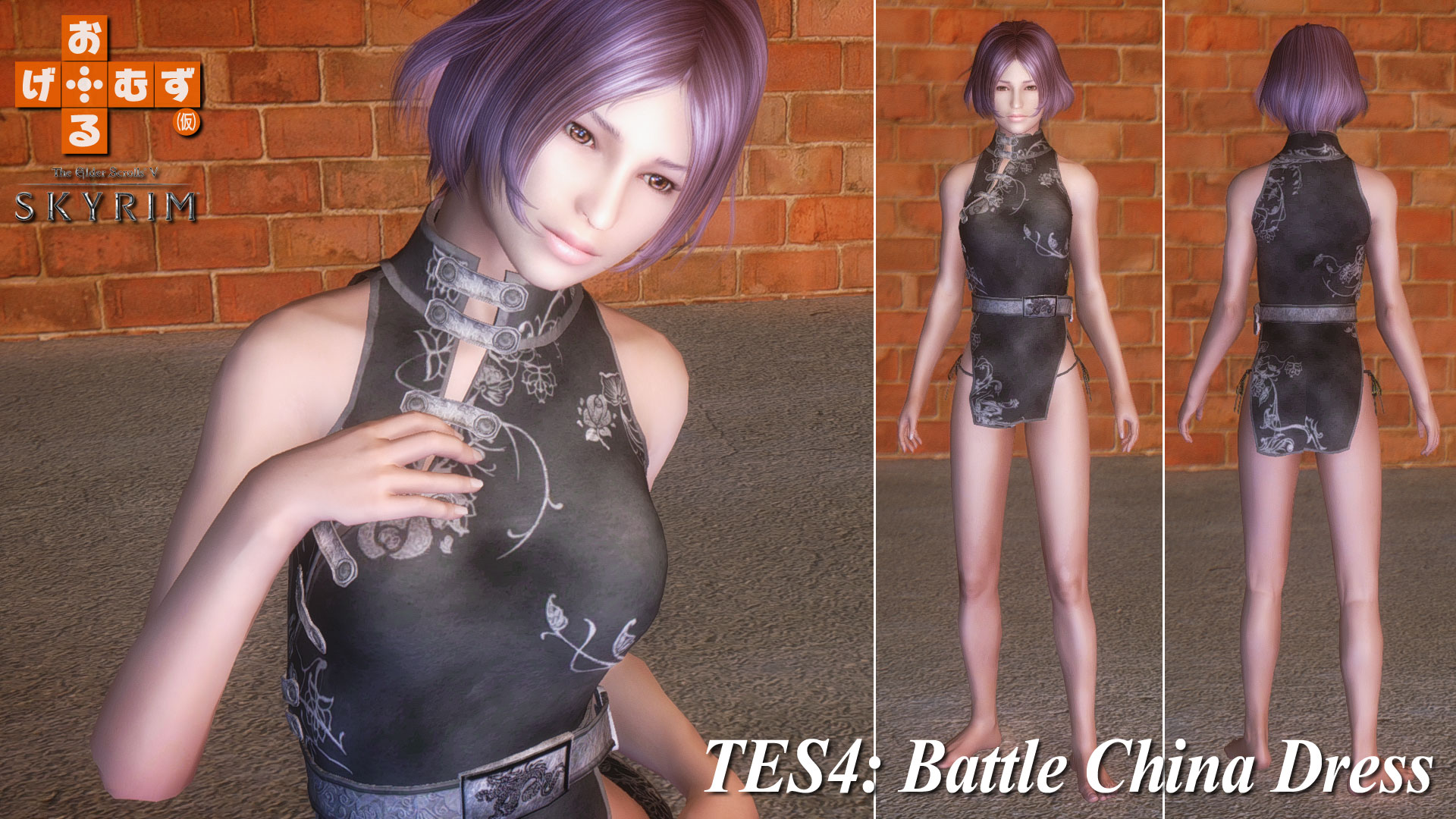 tes4_BattleChinaDress-1