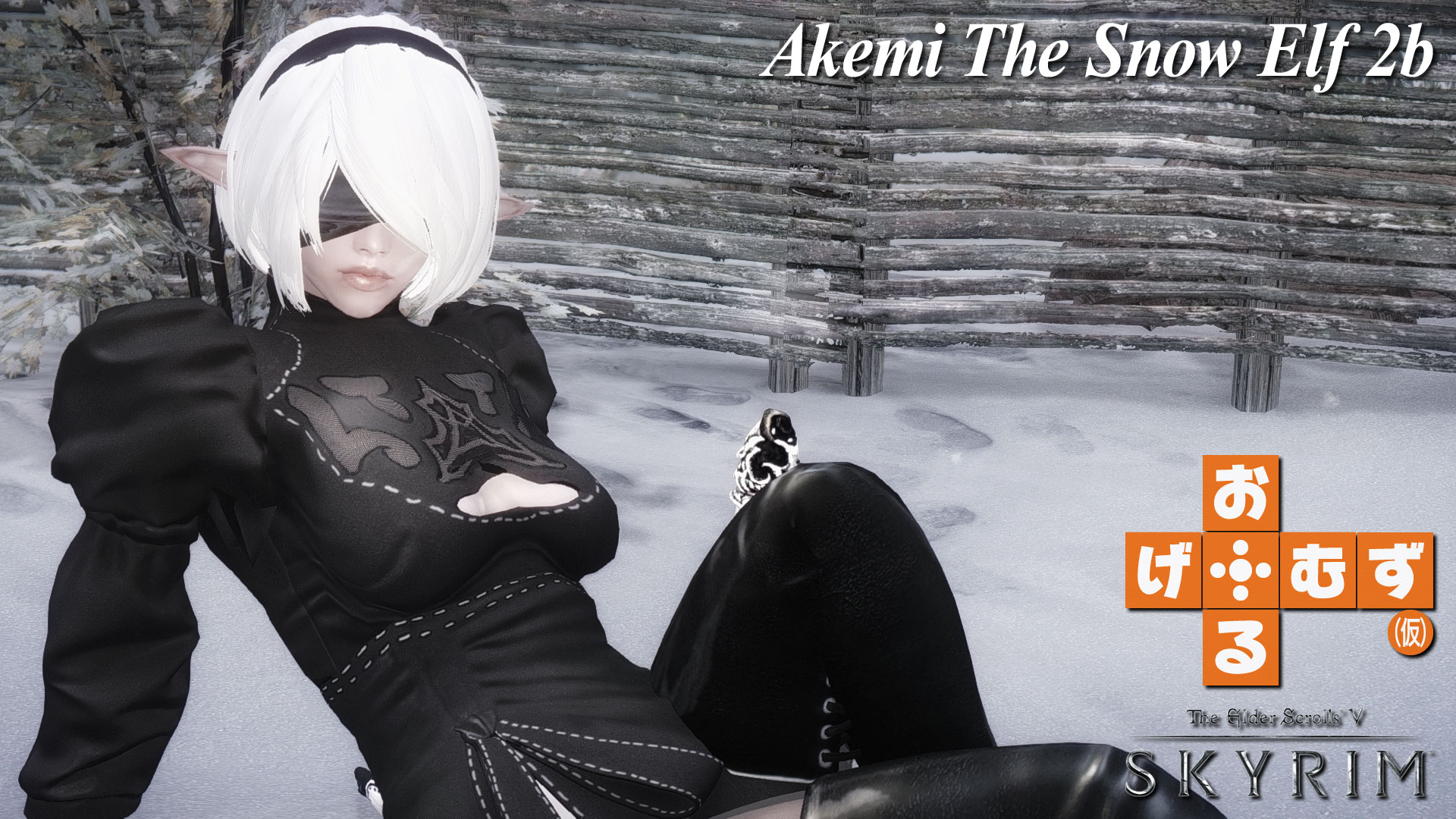 mod_f_Akemi2B01