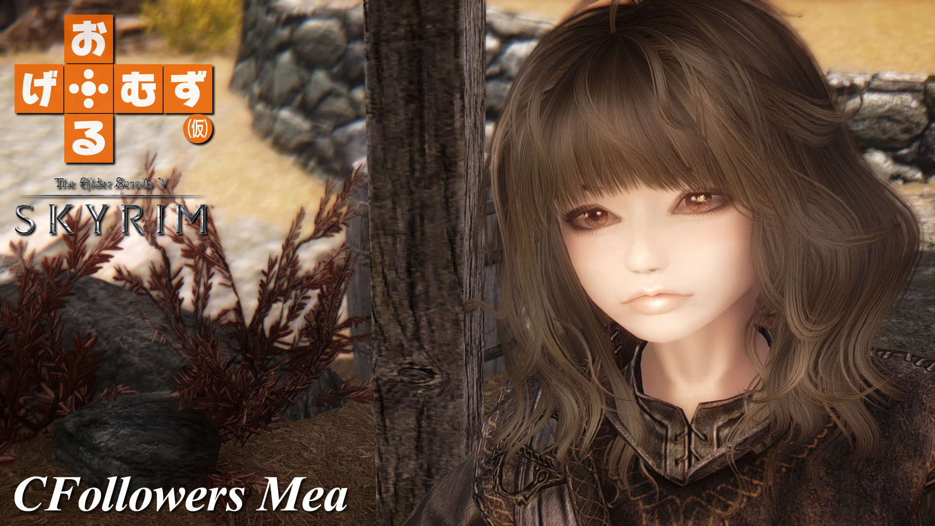 mod_f_CFollowersMea01